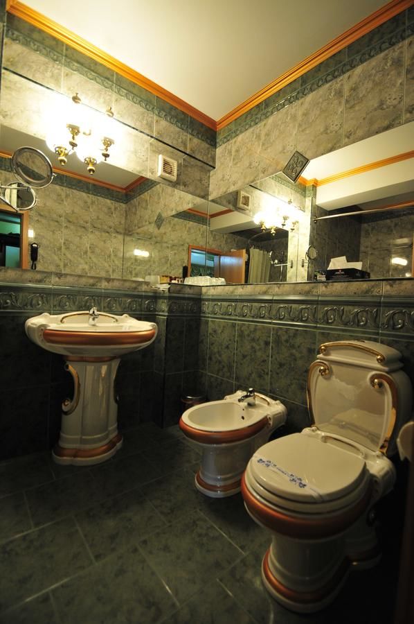 Отель Ambassador Hotel Тимишоара-13