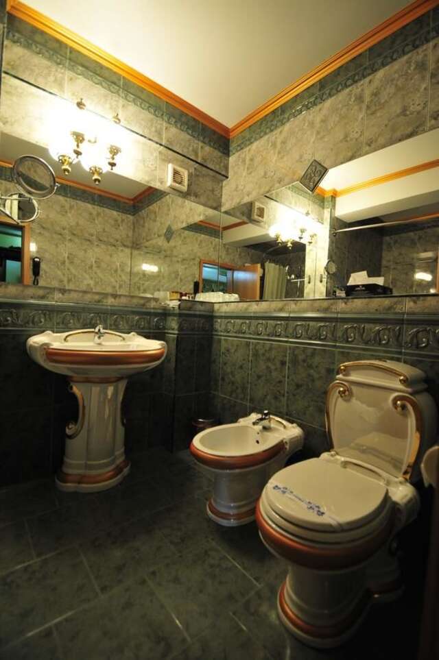 Отель Ambassador Hotel Тимишоара-12