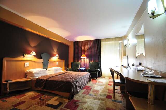 Отель Ambassador Hotel Тимишоара-31