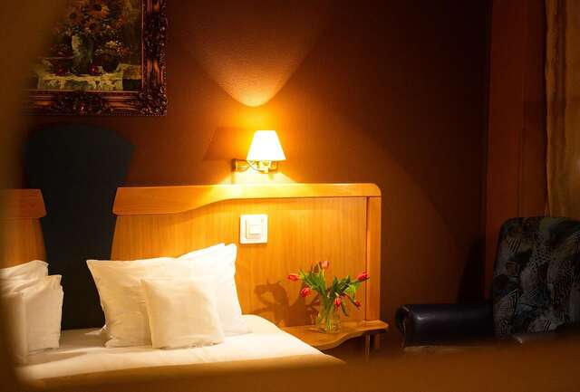 Отель Ambassador Hotel Тимишоара-37
