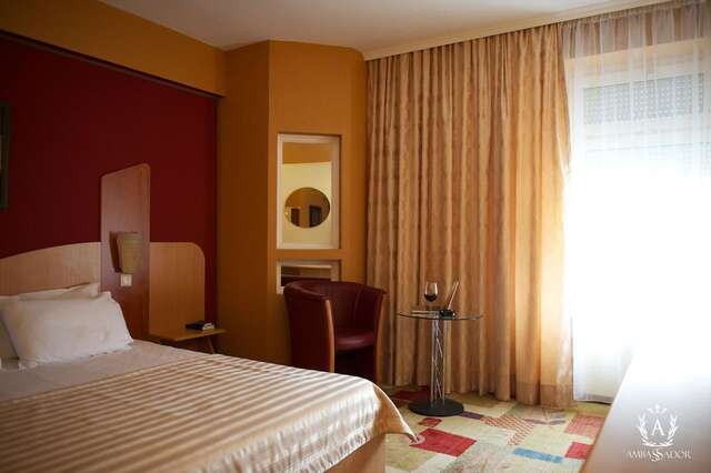 Отель Ambassador Hotel Тимишоара-44